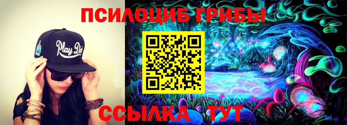 Псилоцибиновые грибы мицелий Кудымкар