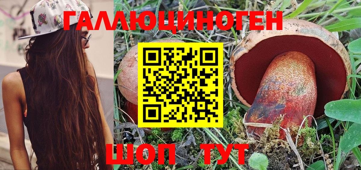 Галлюциногенные грибы GOLDEN TEACHER  Вход с VPN  Псилоцибиновые грибы прущие грибы  Кудымкар 